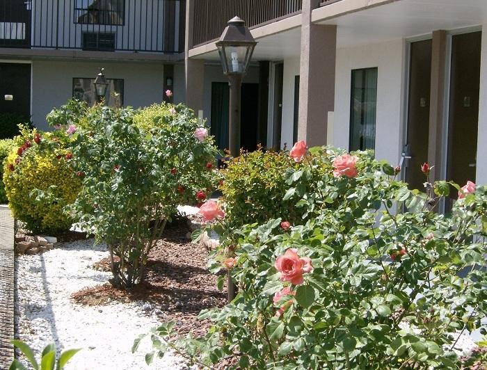 Shelbyville Inn - Shelbyville, Tn 37160 Buitenkant foto
